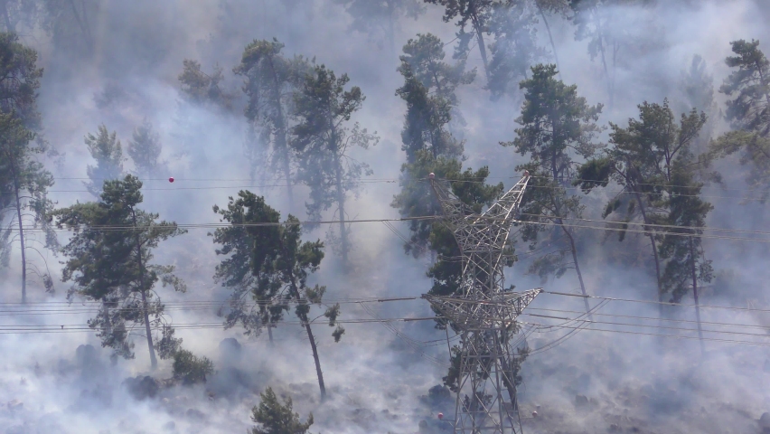 Trees burning and smoking near electric pole in fire in Mount Carmel, Israel
 Royalty-Free Stock Footage #1065220195