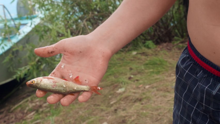 Small caught fish in hand of caucasian boy. Luck during forst fishing.