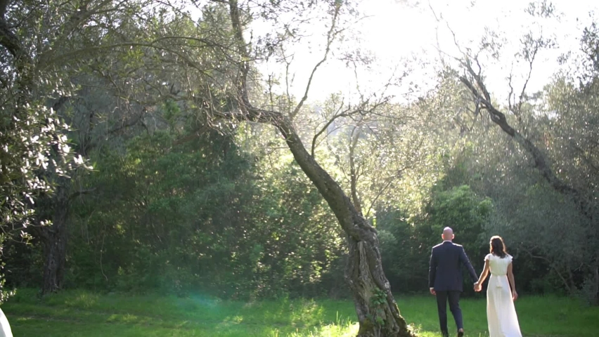 Back view of the groom and the bride walking hand in hand through the olive grove | Shutterstock HD Video #1065246991