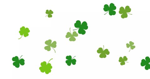 St.Patrick' s day. Green clover leaves random falling on white background. Seamless looped video with green elements. Shot in 4k resolution with 60 Frame per second