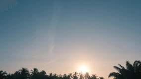 B-roll TimeLapse of Bright sunlight sunset time, sunbeams, flares shining through coconut trees on beautiful blue sky background, wispy clouds bluds up vertical line, sunrise at silhouette palm trees.