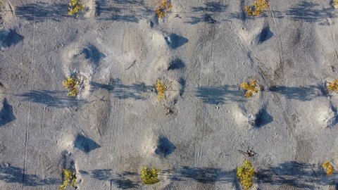 A swirling view of plantations planting tree cultivating field . taken with a drone . plantations Background top view