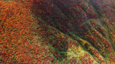 Aerial Shot of Mt.Kurikoma in Autumn Season