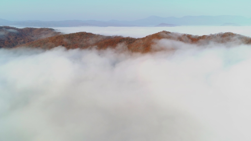 Aerial forward motion above epic cloudy autumn yellow forest on tops of grand mountains hills cowered with low morning fog. Inspirational emotional natural landscape Asia Siberia. Open space