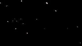 Cherry Blossom Falling Petals 2 Clip. 3D rendering. Element footage. Fall start to end and seamless loop. This work have alpha channel you can place on footage or background. - Powered by Shutterstock - Get 15% off with code: PIKWIZARD15