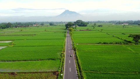 Merapi volcano eruption with Rice field green grass, symmetry road and mountain view