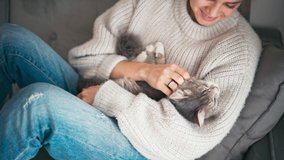 A cozy close-up shot of a young woman in a sweater holds a grey sleepy cat in her arms and strokes it while sitting on the couch in the living room. - Powered by Shutterstock - Get 15% off with code: PIKWIZARD15