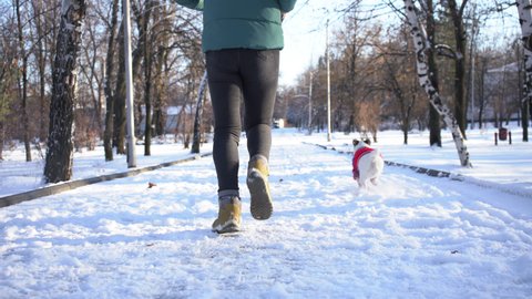 young woman run with jack russell terrier wearing in red sweater. small dog in clothes. winter jogging in sunny snowy day in a park. girl doing sport in winter