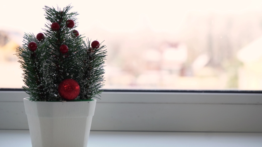 little christmas tree stands on the windowsill