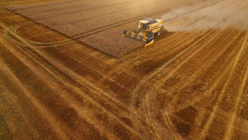 Aerial Shot: Harvester Working on Field. Digitalization of the Crops Growing Efficiency with AI Data Analysis Icons. Futuristic Agriculture Concept of Computerized, Eco, Sustainable way of Harvesting	 Royalty-Free Stock Footage #1065342100