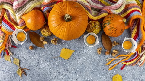 Setting modern elegant gray orange and white themed table with pumpkins centerpiece and colorful scarf flat lay stop motion video.