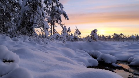Spectacular sunset view over swampy and snowy field in snow covered scandinavian forest - absolutely quiet evening, no wind, red orange cold sky in Lapland, Northern Sweden