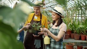 Happy people women and child are admiring flower in greenhouse smelling and talking enjoying beautiful plant. Family business and floristry concept. - Powered by Shutterstock - Get 15% off with code: PIKWIZARD15