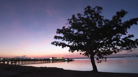 Timelapse Sun rising in Ban Phe Pier Rayog Thailand lone tree night to day during covid2019