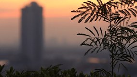 Blurred background of high angle motion video, overlooking the capital city landscape and the evening twilight of the sun during the day, with cool breezes.