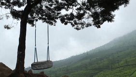 one swing on a hill that moves without people. horror concept in highland with thick fog and tea garden background. mysterious video with tree silhouettes