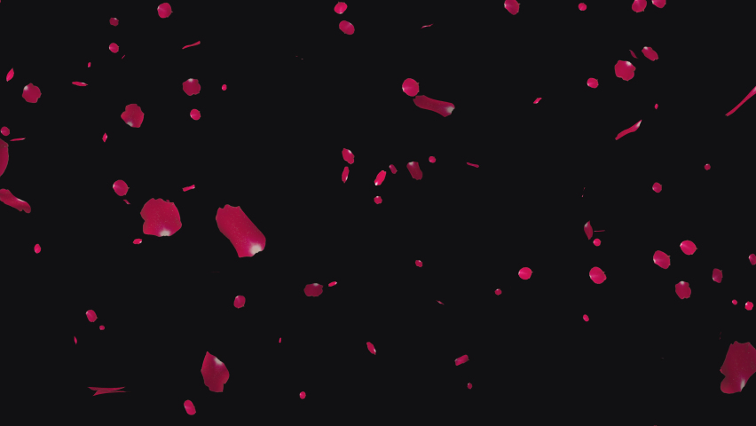 Valentines Day Animation Red Rose Stock Footage Video (100% Royalty ...
