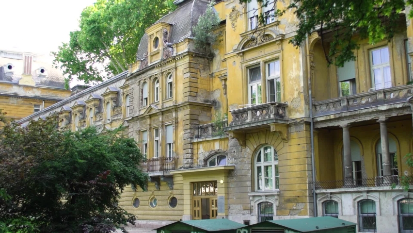 Patinated old yellow building in Budapest. European architectural style with bushes in the foreground.