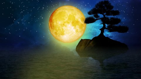 beautiful yellow moon on the sea, night stars, the night sky, night fantasy, loop animation background.	