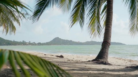 Tropical sandy beach with coconut palm trees and green sea in a summer sunny day. Mountains on the background.
