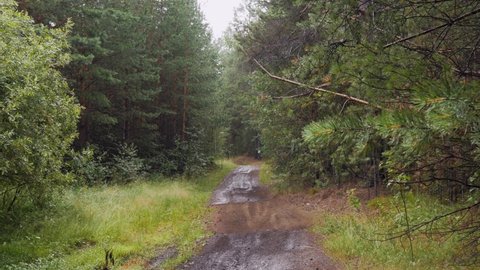back two male enduro athlete riding forest trail in rain