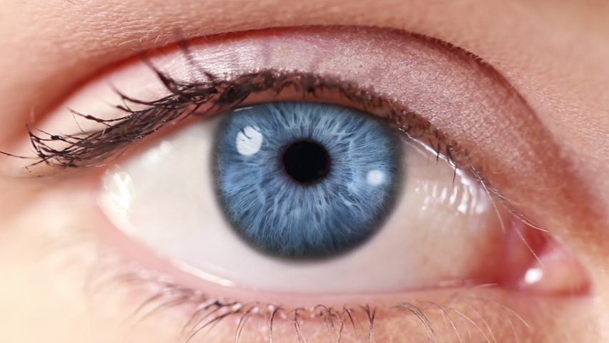 Zoom in from a blue human eye to a neuron cell network animation. Beautiful female eye and nerve cell animation. Science Background. 