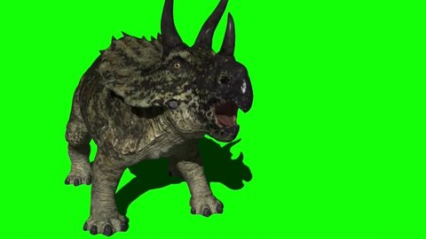 Triceratops Dinosaur Attacking on Green Screen