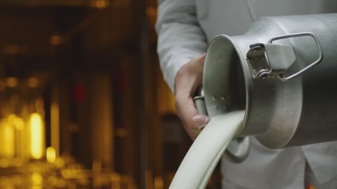 Farm worker dressed in white pouring milk from can container for milk inside factory in slow motion . Dairy production concept . Cheese factory . Shot on ARRI ALEXA Cinema Camera