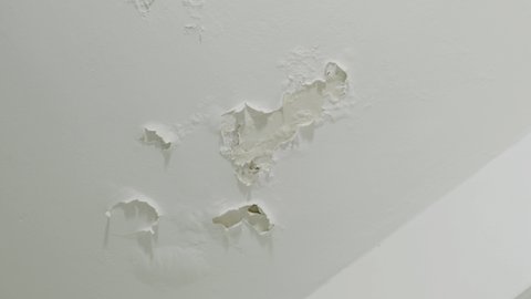 Pan over wet and damped ceiling or wall with paint falling apart then disappears. Moist fungus or mold in house room is seen and quickly removed. Poor unattended condition in old apartment gets clean 
