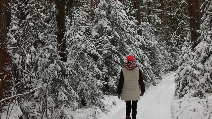 A woman walks through a beautiful snowy virgin forest on a path in a down jacket and a red hat around on the branches of trees on the ground there is a lot of fluffy snow.View from the back