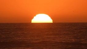 This telephoto, closeup video shows the sun setting over gentle ocean waters with seagulls flying overhead.