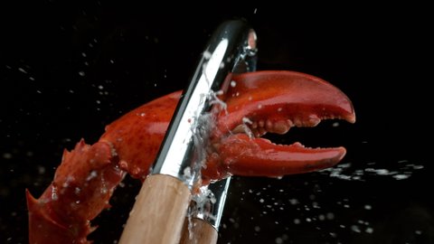 Cracking a lobster claw in slow motion. Shot with Phantom Flex 4K camera.