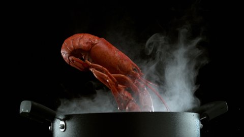 Lobster falling into boiling pot in slow motion. Shot with Phantom Flex 4K camera.