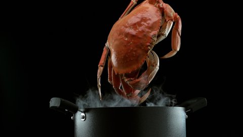 Crab falling into boiling pot in slow motion. Shot with Phantom Flex 4K camera.