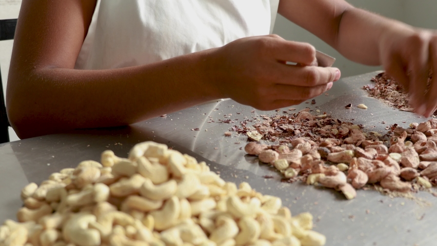 A woman removing shell residues in a cashewnut