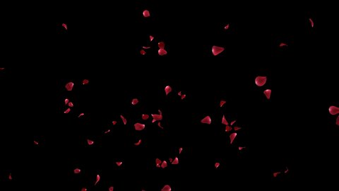 Red Rose Petal Realistic Falling with Alpha channel. 3D rendering. 2 Clips start to end and seamless loop. place on footage or background easy to change color.