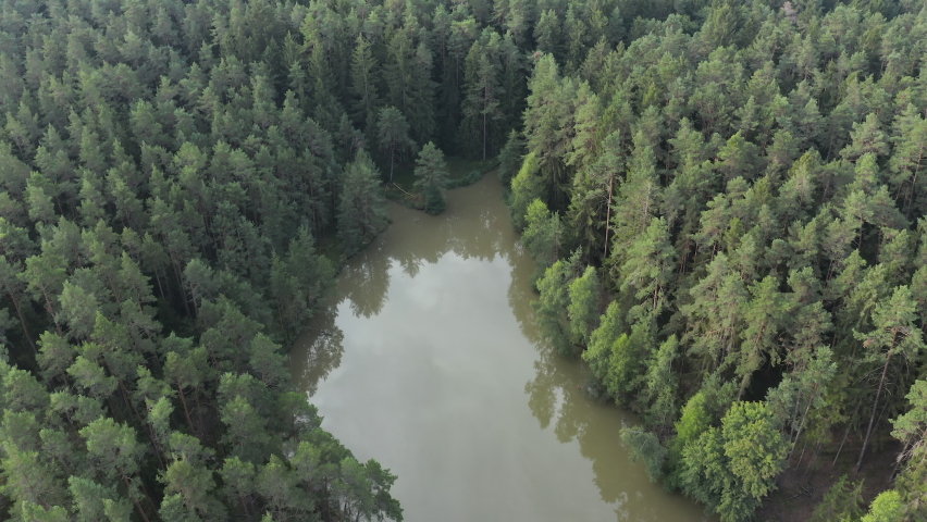 Lake in forest of the Franconian Heights, Ansbach, Bavaria, Germany