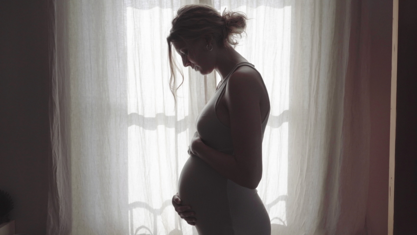 Pregnant woman stroking baby belly in front of window at home | Shutterstock HD Video #1065536665