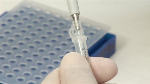 Scientist Works In Laboratory, Developing A Vaccine For Coronavirus Treatment.