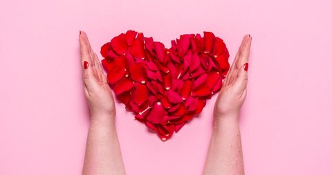Woman making a red heart with rose petals, stop motion. Flat lay with red petal heart pounding on a pink background. Valentine day 4k video animation. 
