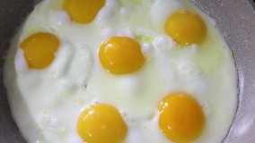 Roasting eggs in a frying pan. Scrambled eggs are fried in a frying pan, there is steam. Full HD video quality