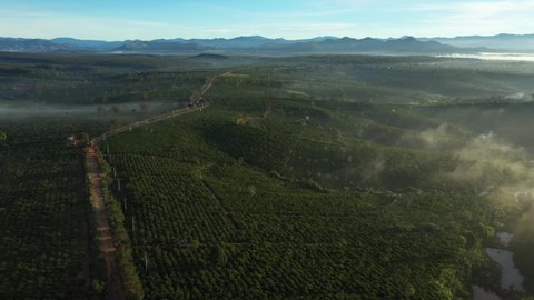 Top view coffee fields in DakHa, Kontum, in the Central Highlands region of Vietnam. KonTum has been dubbed 'Kingdom of Coffee',earning Vietnam second place among the world's top coffee exporters.