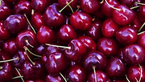 HD video above zooming on background of fresh organic dark red Bing cherries, dark red and very round, and very sweet
