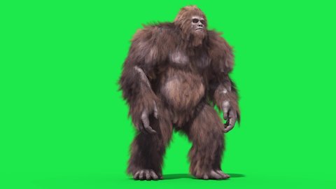 Green Screen Bigfoot Yeti Eat Real Fur 3D Rendering Animation 4K
