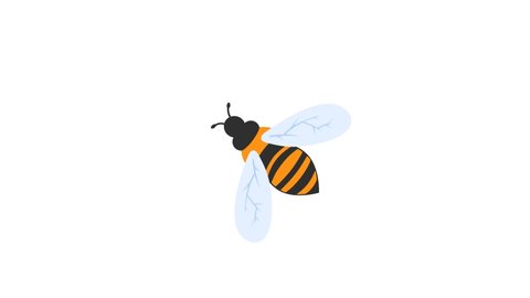 animation bee flies and flaps its wings. 2d motion