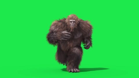 Green Screen Bigfoot Yeti Runcycle Loop Real Fur 3D Rendering Animation 4K