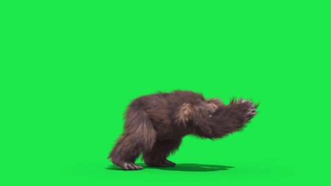 Green Screen Bigfoot Yeti Attack Side Real Fur 3D Rendering Animation 4K