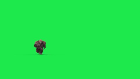 Green Screen Bigfoot Yeti Run Front Real Fur 3D Rendering Animation 4K