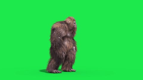 Green Screen Bigfoot Yeti Die Real Fur 3D Rendering Animation 4K