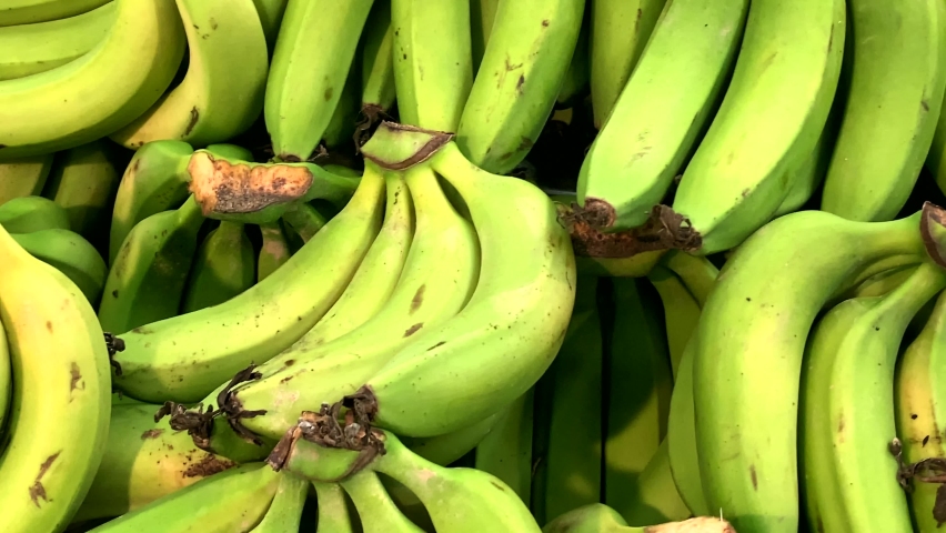 Large green bananas on a rack in a modern supermarket. 4K Royalty-Free Stock Footage #1065650473
